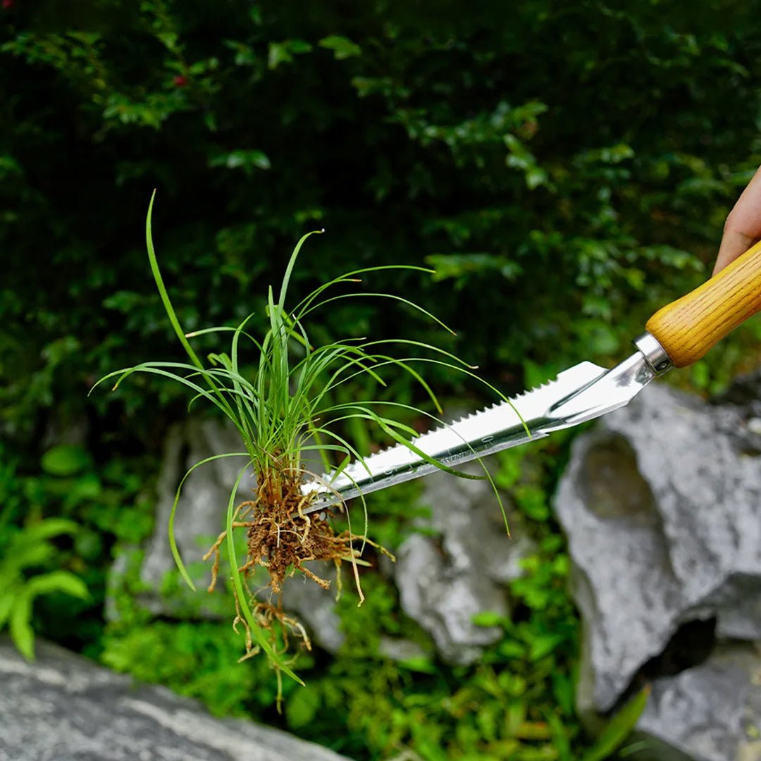 5-in-1 Stainless Steel Weed Puller Tool with Beech Handle - TRENDVYO