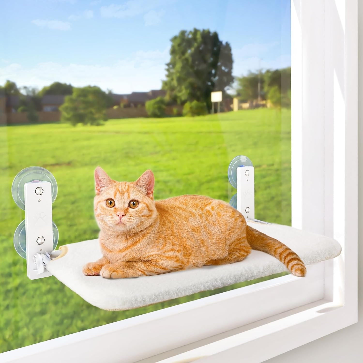 Cat Window Hammock