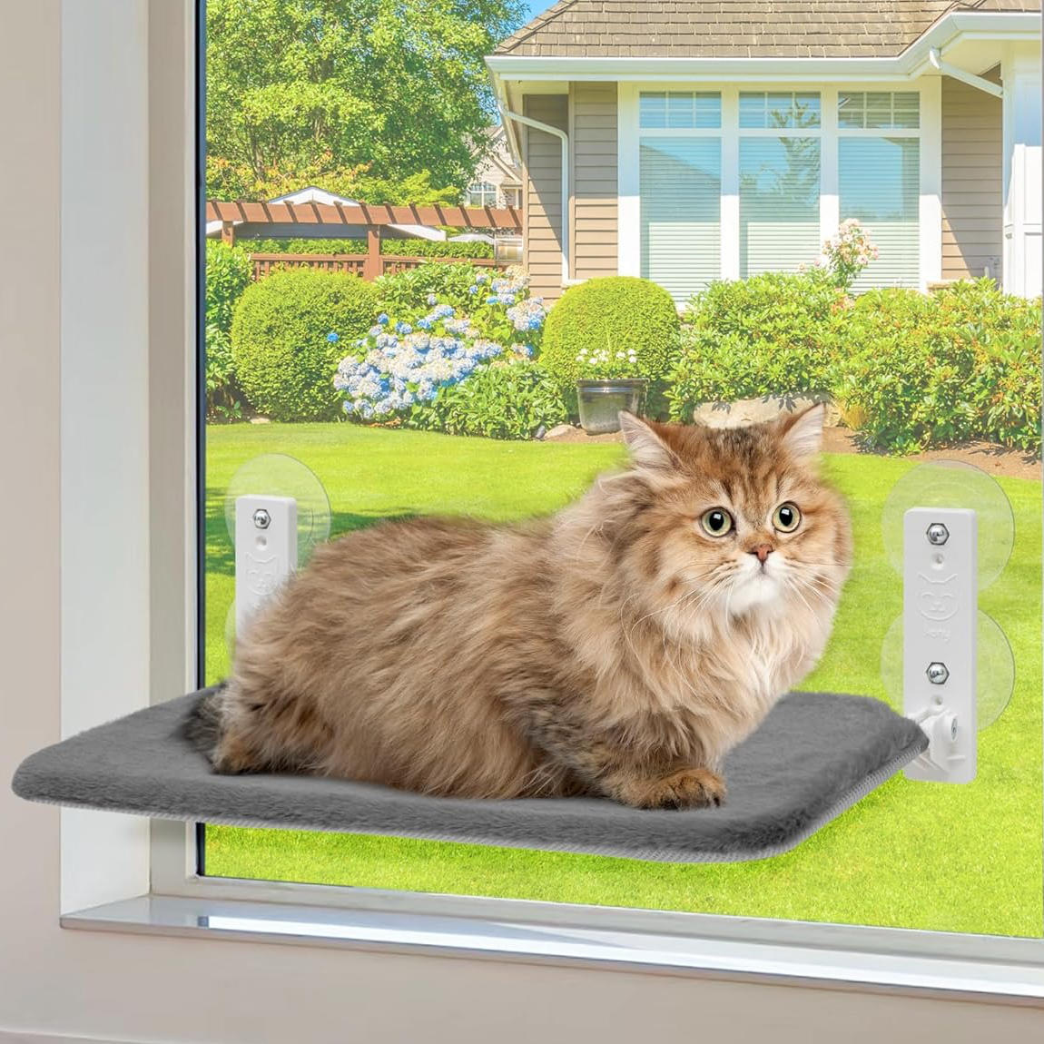 Cat Window Hammock