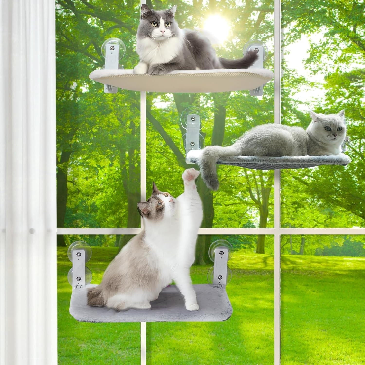 Cat Window Hammock