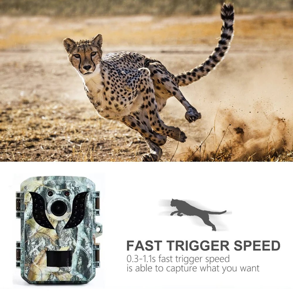 Compact Wildlife Camera with HD Infrared Night Vision - TRENDVYO