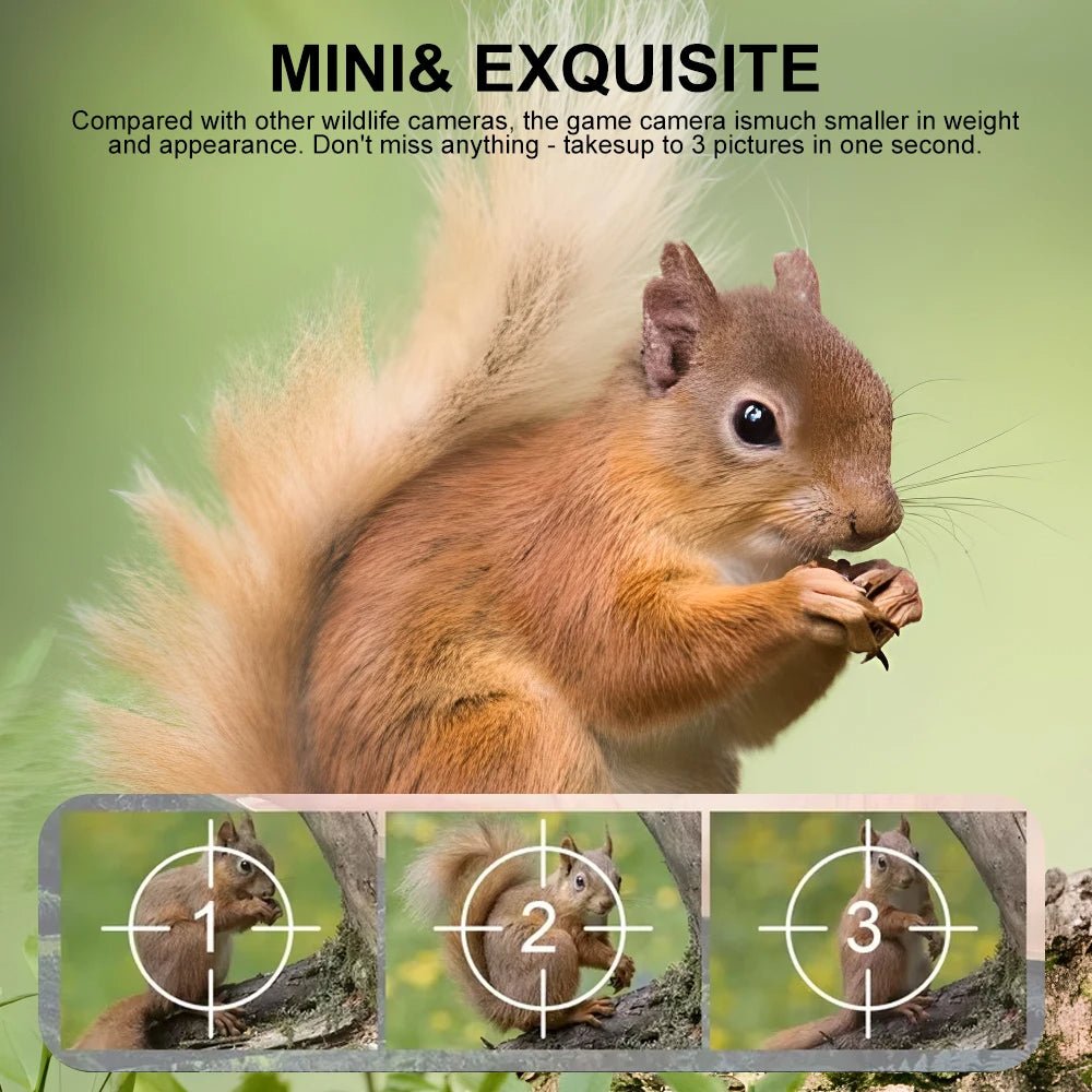 Compact Wildlife Camera with HD Infrared Night Vision - TRENDVYO