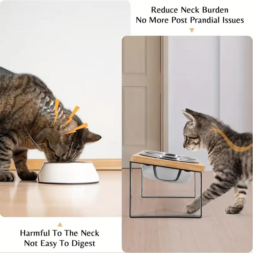 Erhöhter Katzennapf