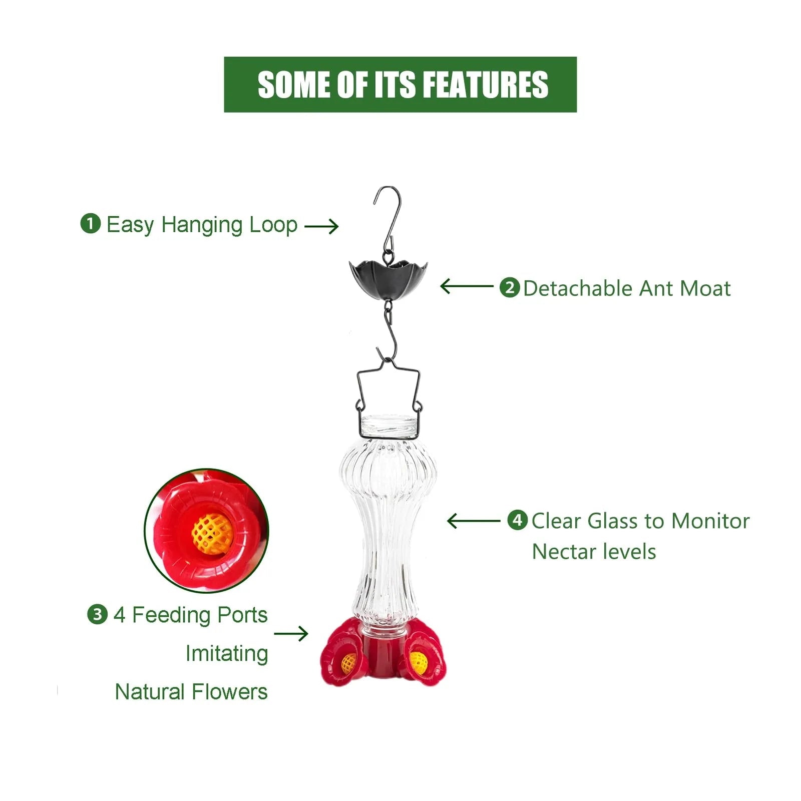 Flowers Glass Hummingbird Feeder With Ant Moat - TRENDVYO