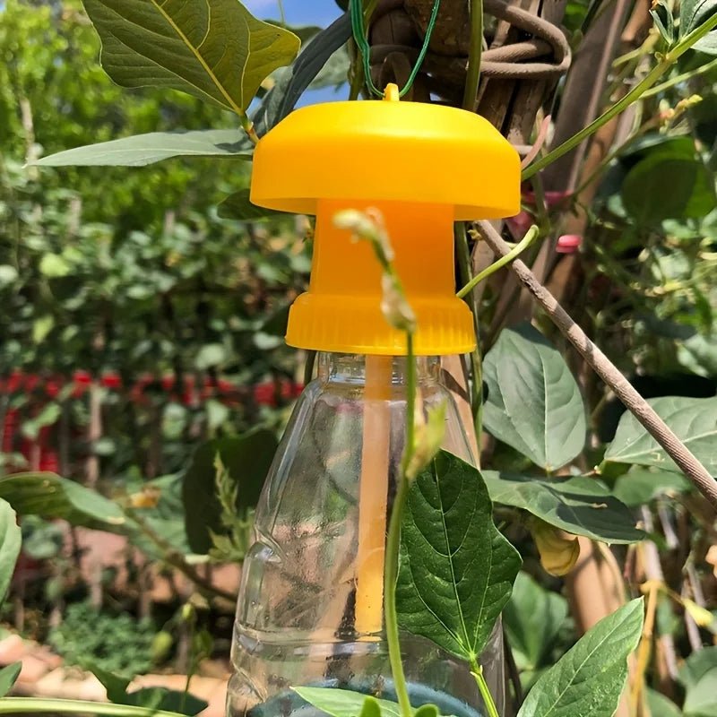 Fruit Fly Trap with Hanging Cover - TRENDVYO