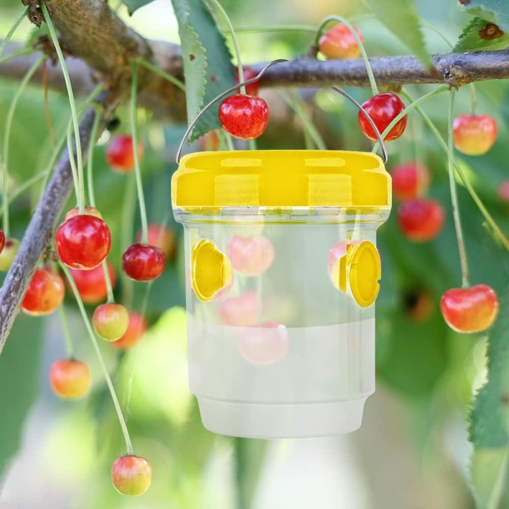 Insect Fruit Fly Traps - TRENDVYO