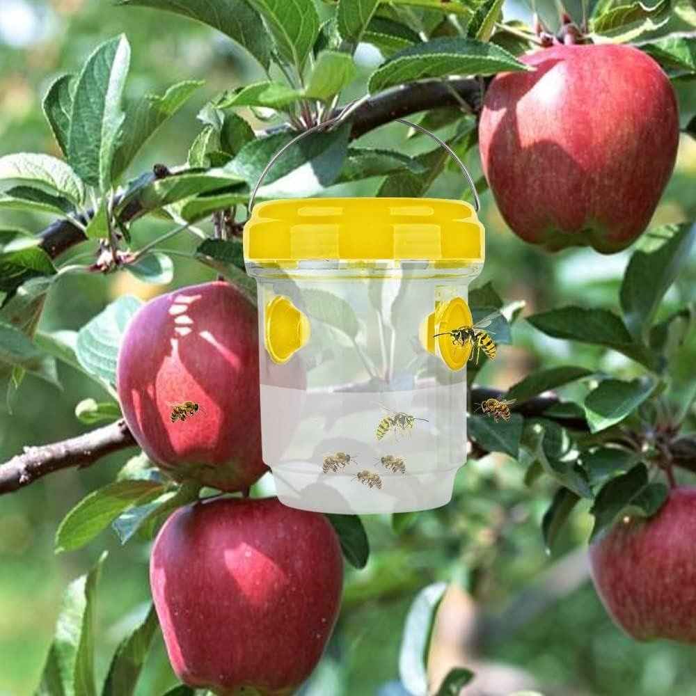 Insect Fruit Fly Traps - TRENDVYO