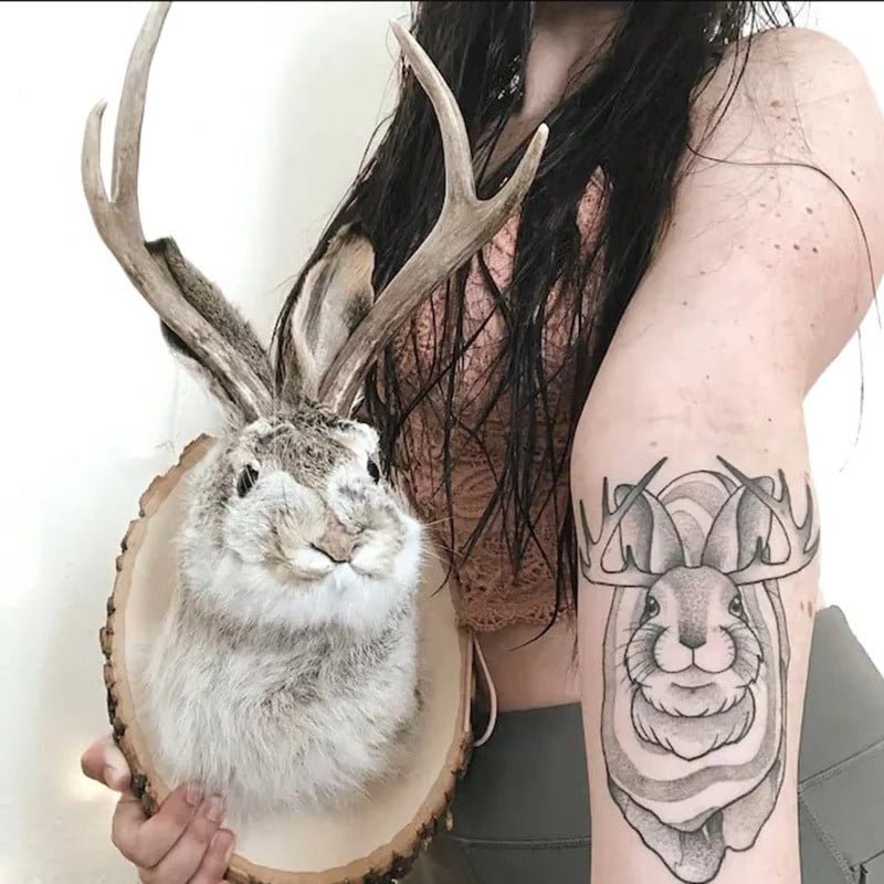 Jackalope Wall Decor - TRENDVYO