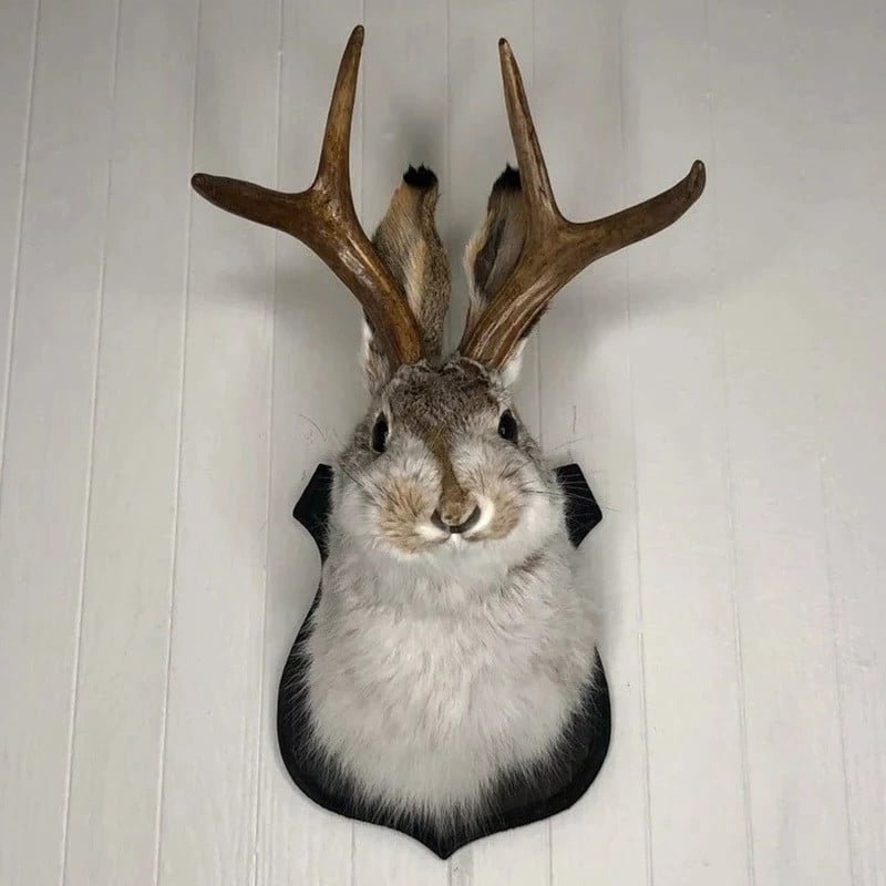 Jackalope Wall Decor - TRENDVYO