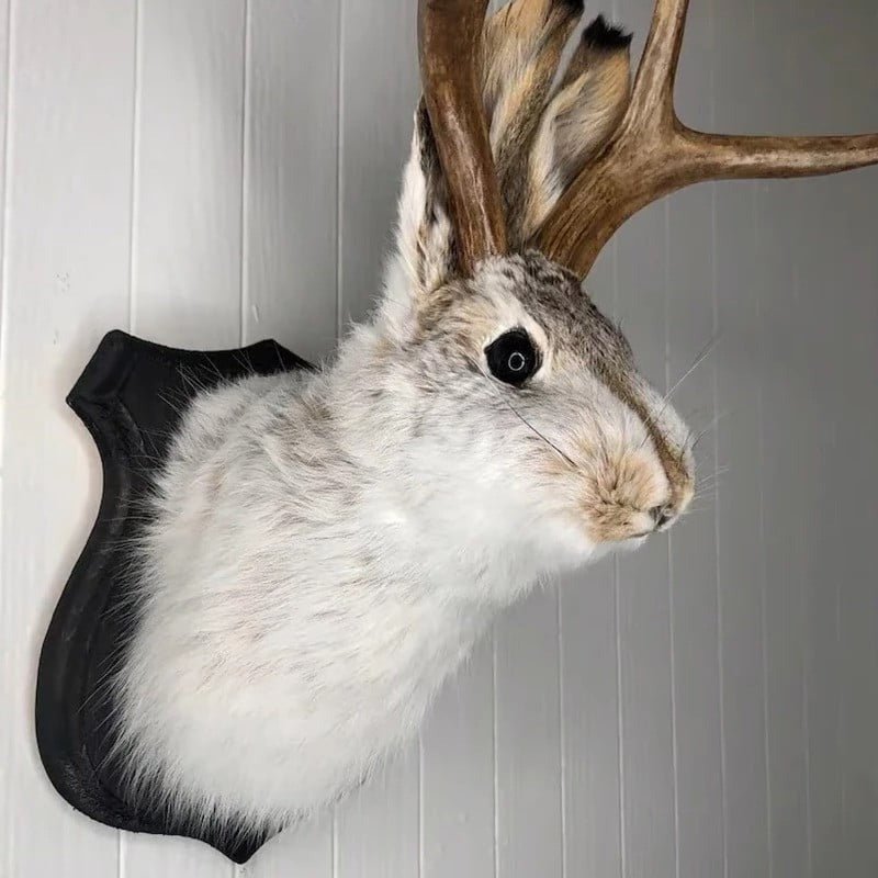 Jackalope Wall Decor - TRENDVYO