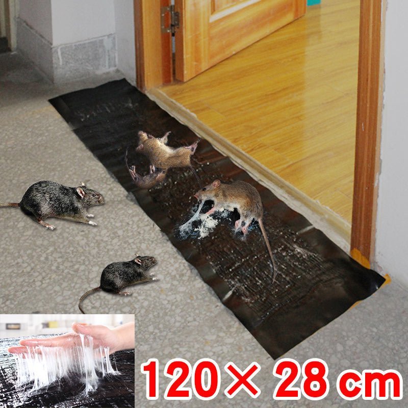 Large, non-toxic trap for effective pest control - TRENDVYO