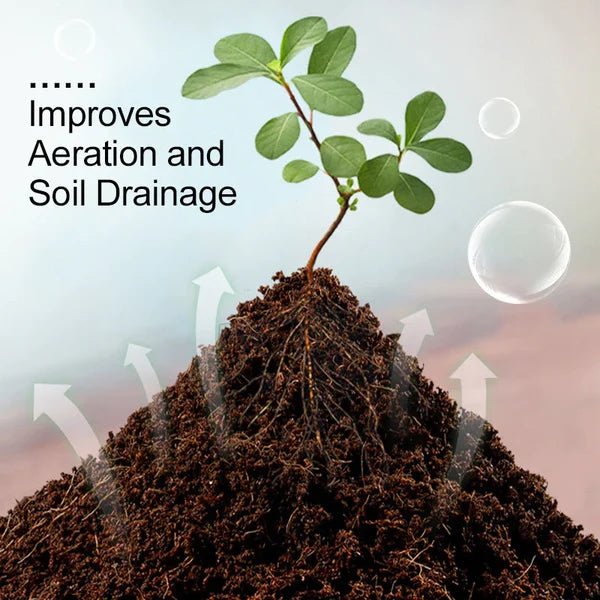 Organic Coconut Coir For Plants - TRENDVYO