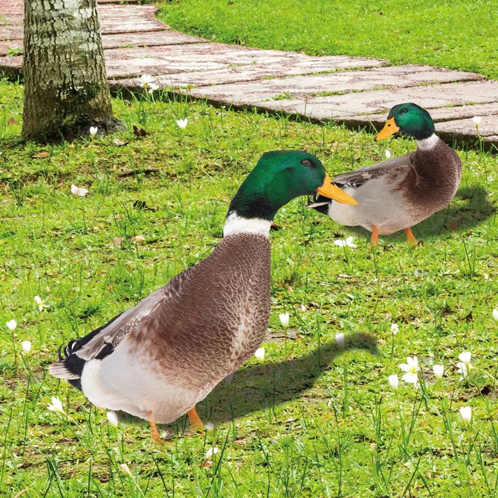 Outdoor Duck Decoration - TRENDVYO