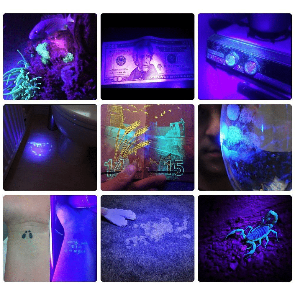 Powerful 21 LED pocket UV lamp - TRENDVYO