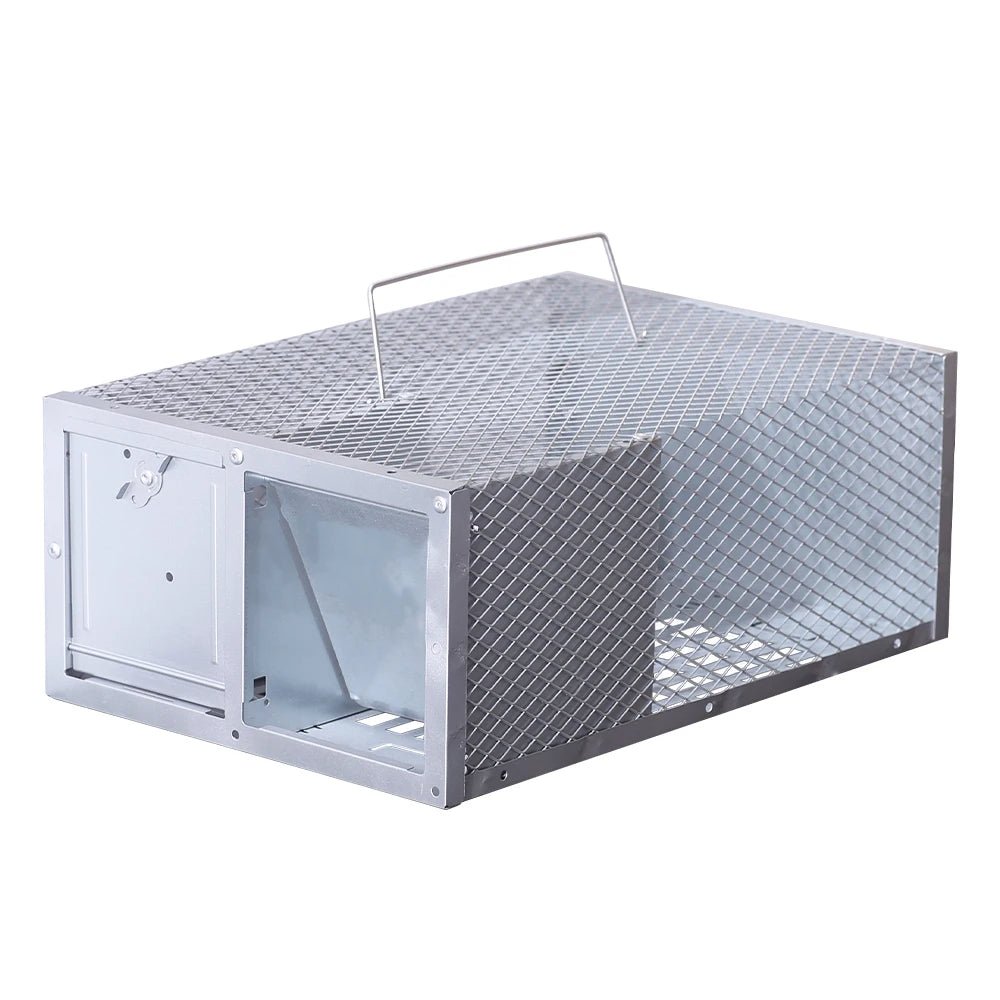 Single Door Reusable Mouse Trap Metal Cage - TRENDVYO