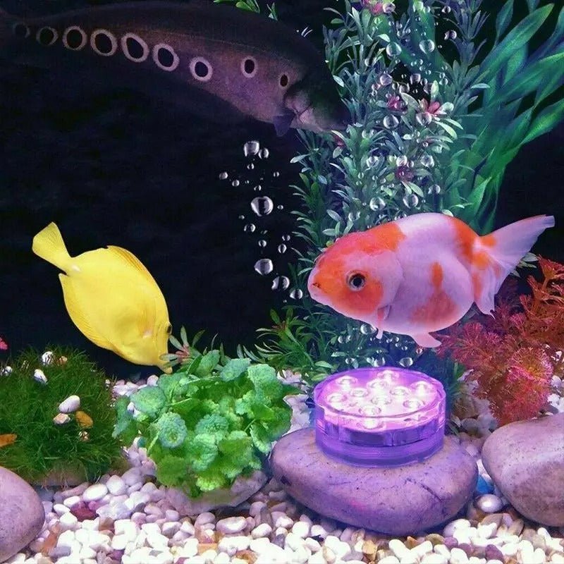 Submersible LED Lights - TRENDVYO