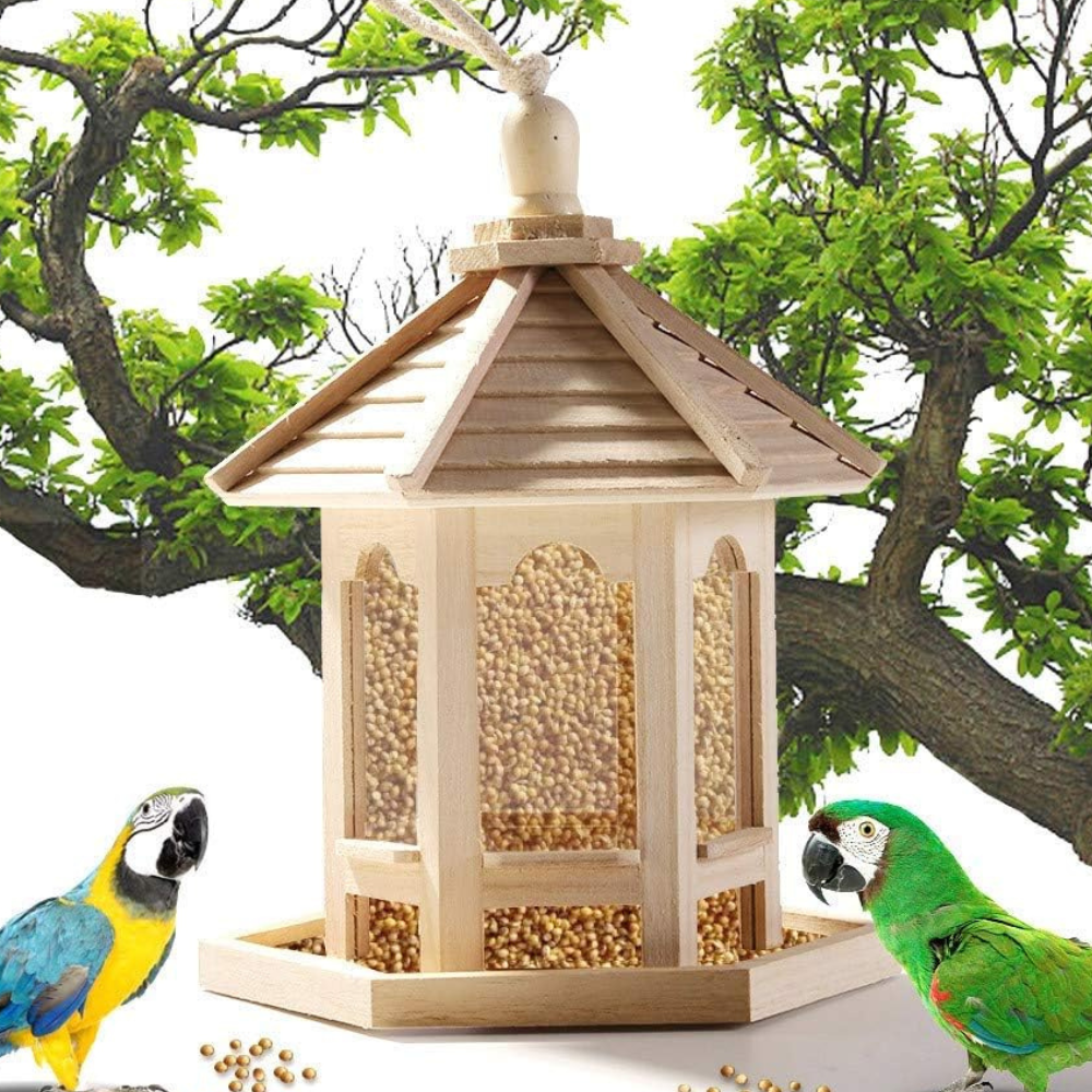 Wooden Transparent Household Bird Feeder - TRENDVYO