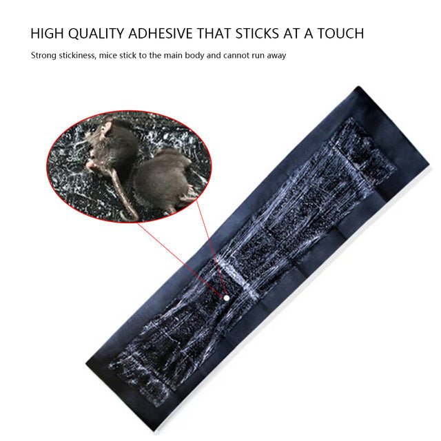 5 Extra-Large Glue Pads For Mice And Rats - TRENDVYO