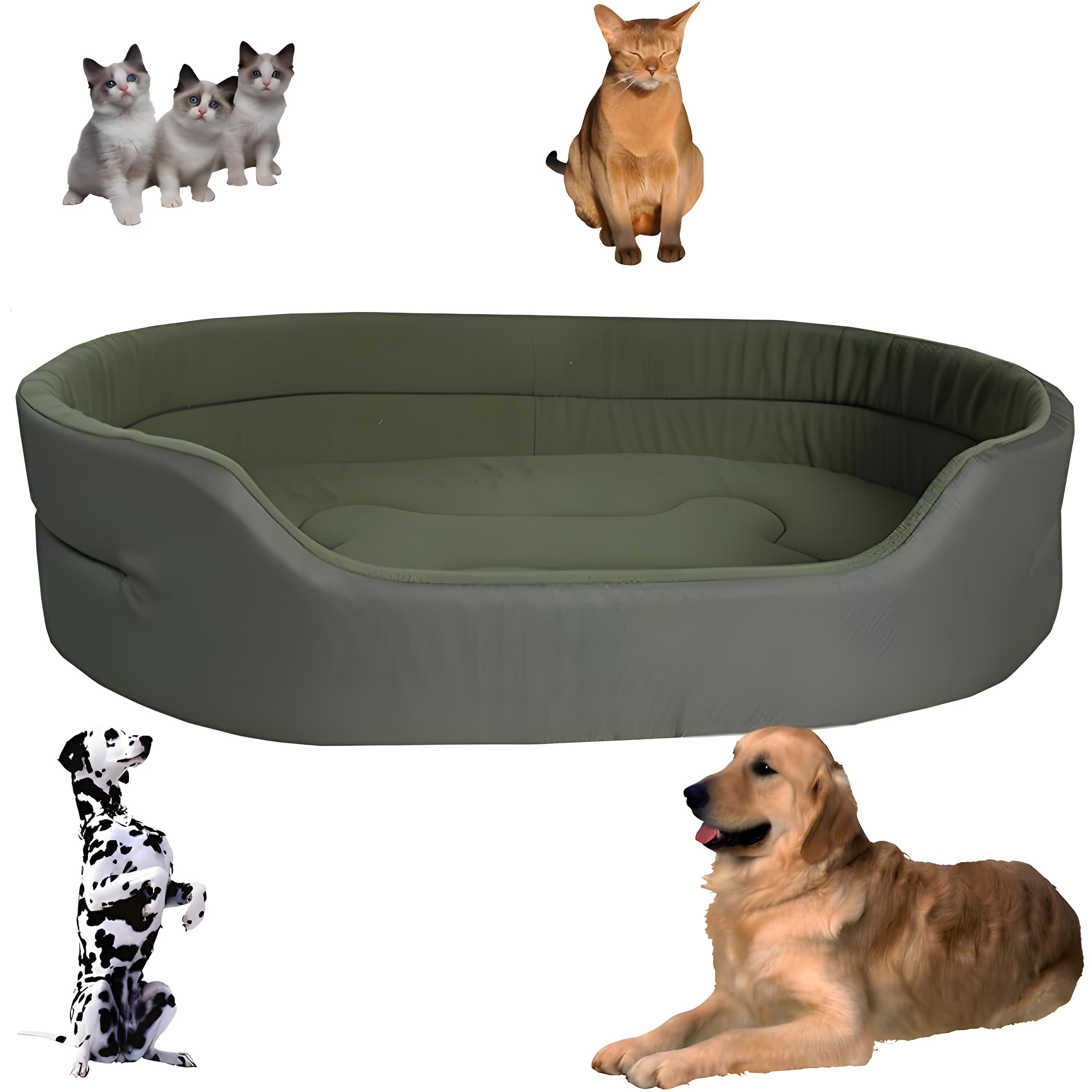 Eco-Friendly Pet Beds