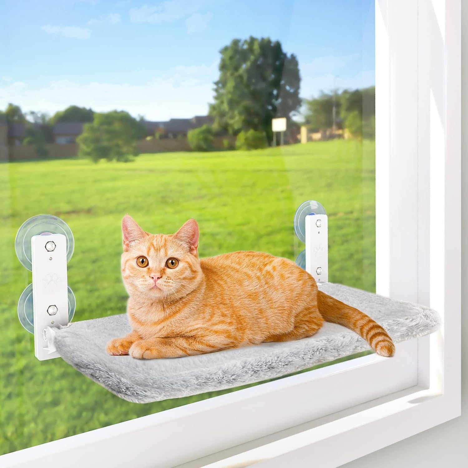 Cat Window Hammock