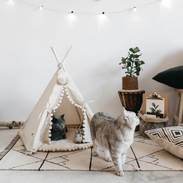 Bohemian Pet TeePee - TRENDVYO