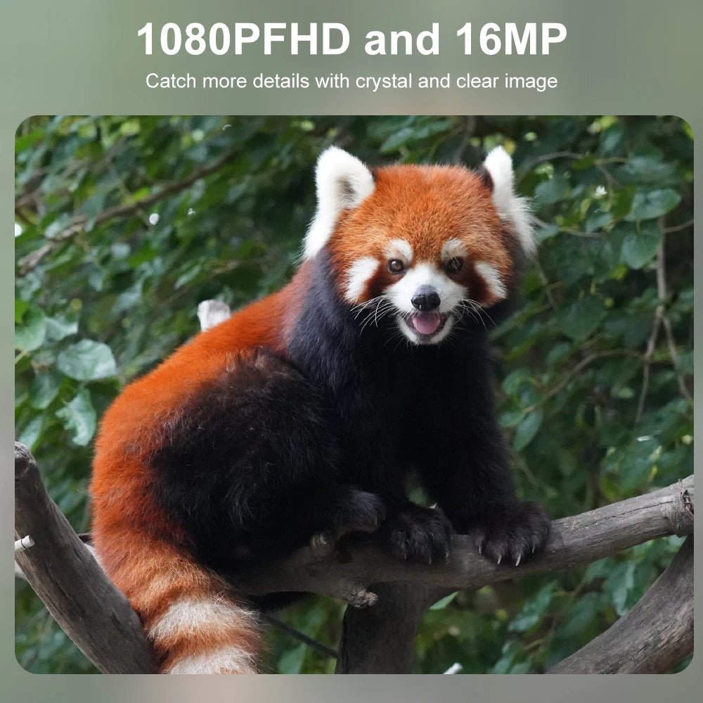 Compact Wildlife Camera with HD Infrared Night Vision - TRENDVYO