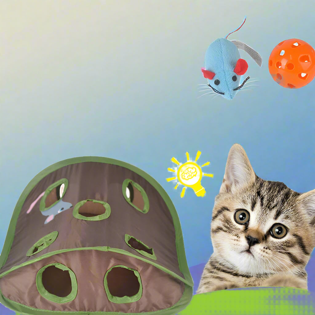 9-Loch Tunnel Katze Maus Spiel