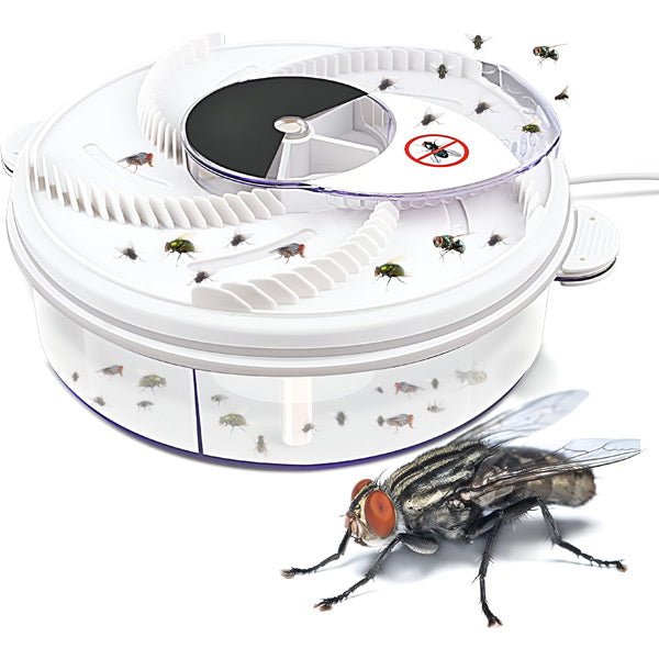 Highly Effective Fly Trap - TRENDVYO