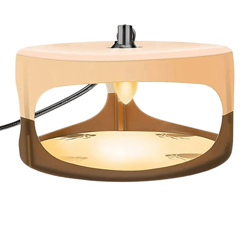 Indoor Bed Bug Trap - TRENDVYO