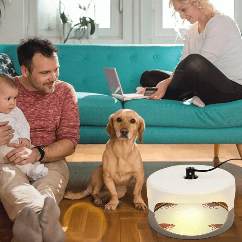 Indoor Bed Bug Trap - TRENDVYO