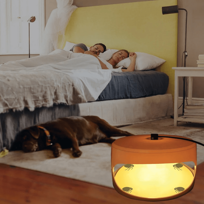Indoor Bed Bug Trap - TRENDVYO