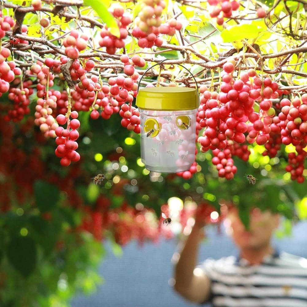 Insect Fruit Fly Traps - TRENDVYO