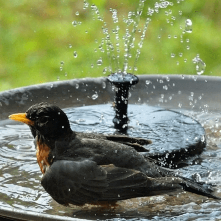 LED Solar Energy Fountain - TRENDVYO