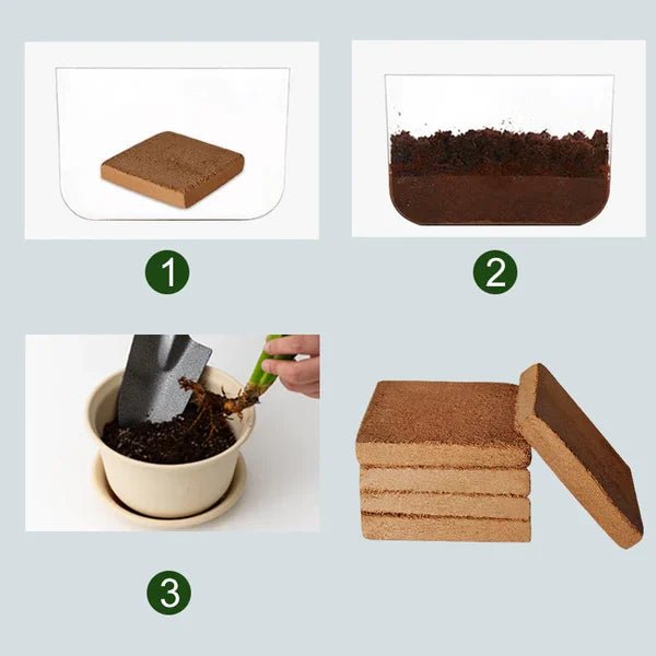 Organic Coconut Coir For Plants - TRENDVYO