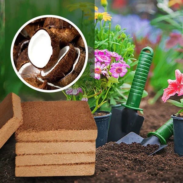 Organic Coconut Coir For Plants - TRENDVYO