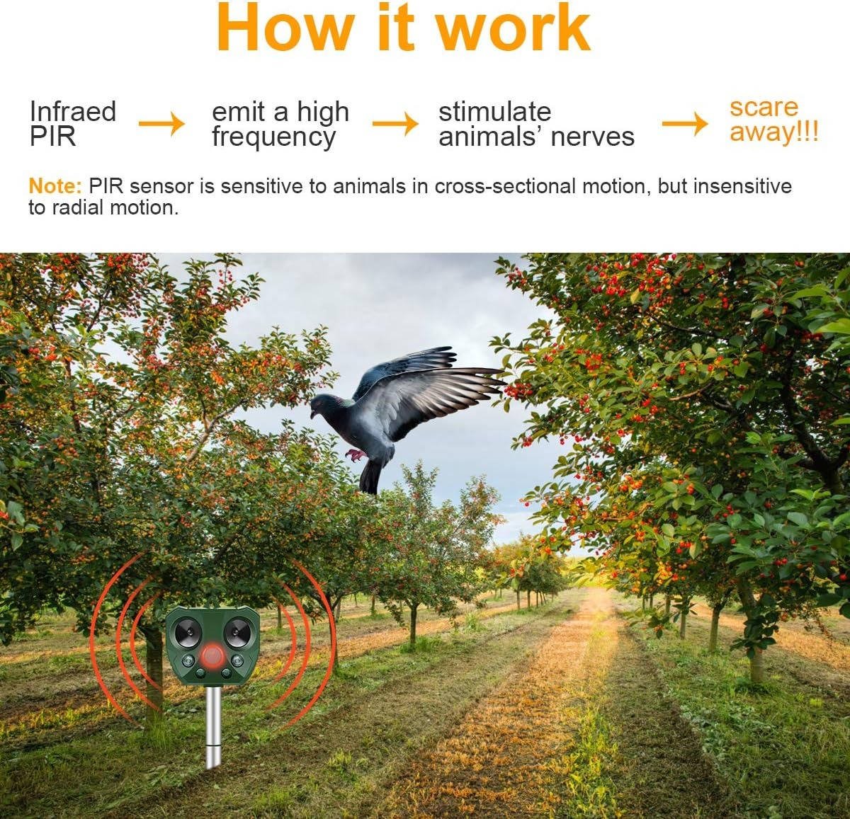Pigeon And Bird Scarer Ultrasonic And Pest Defender - TRENDVYO