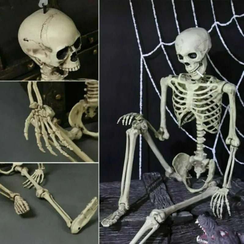 Poseable Skeleton - Creepy Halloween Skeleton Decorations - TRENDVYO