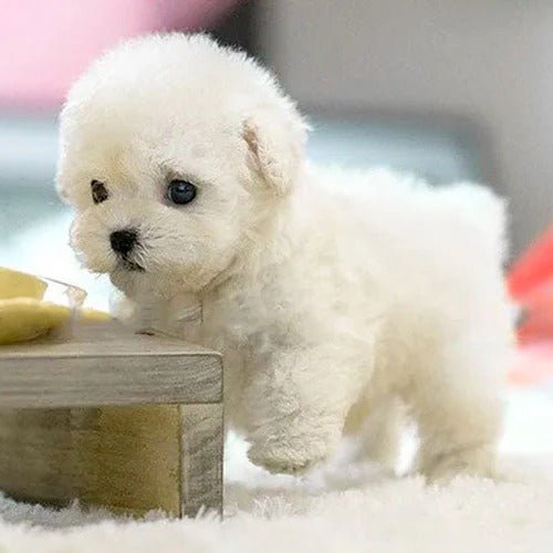 Realistic Interactive Plush Puppy Toy - TRENDVYO