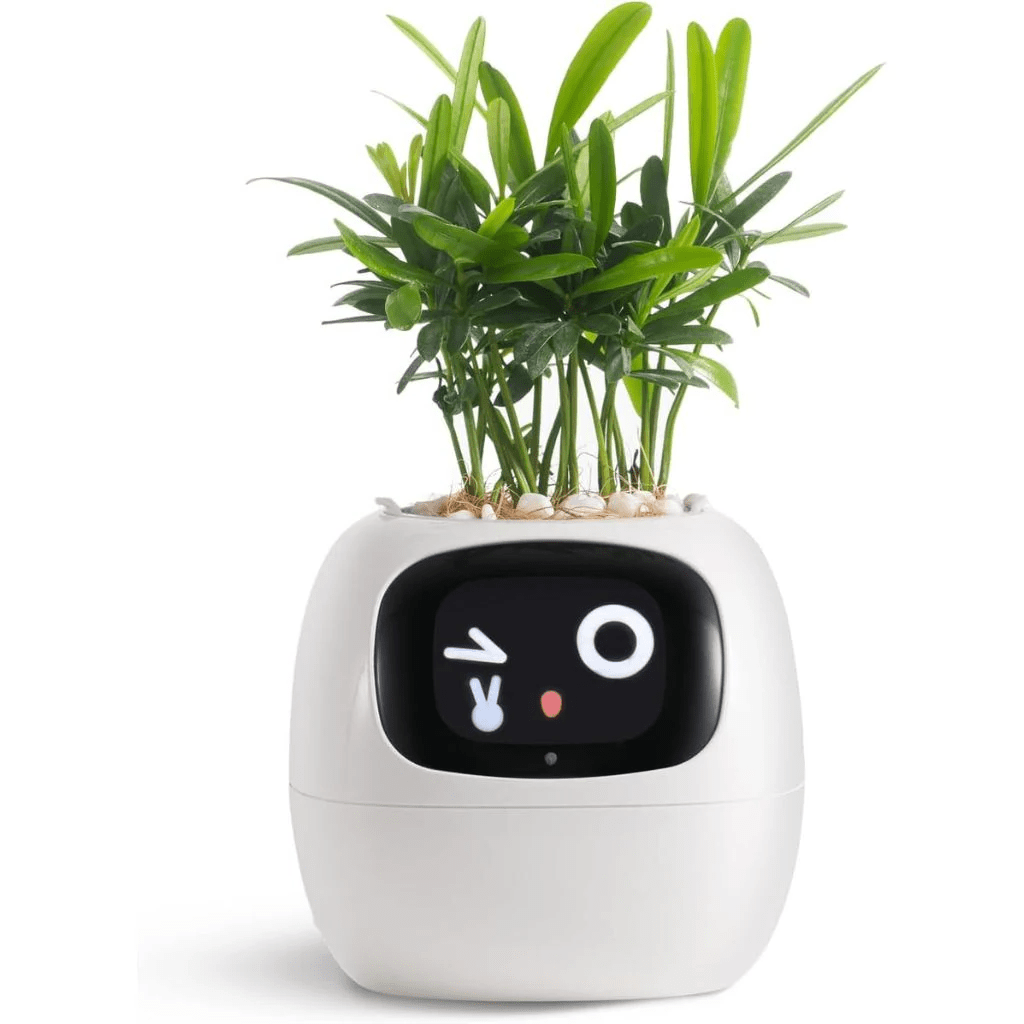 Smart Plant Pot Ivy - Innovative Plant Care - TRENDVYO