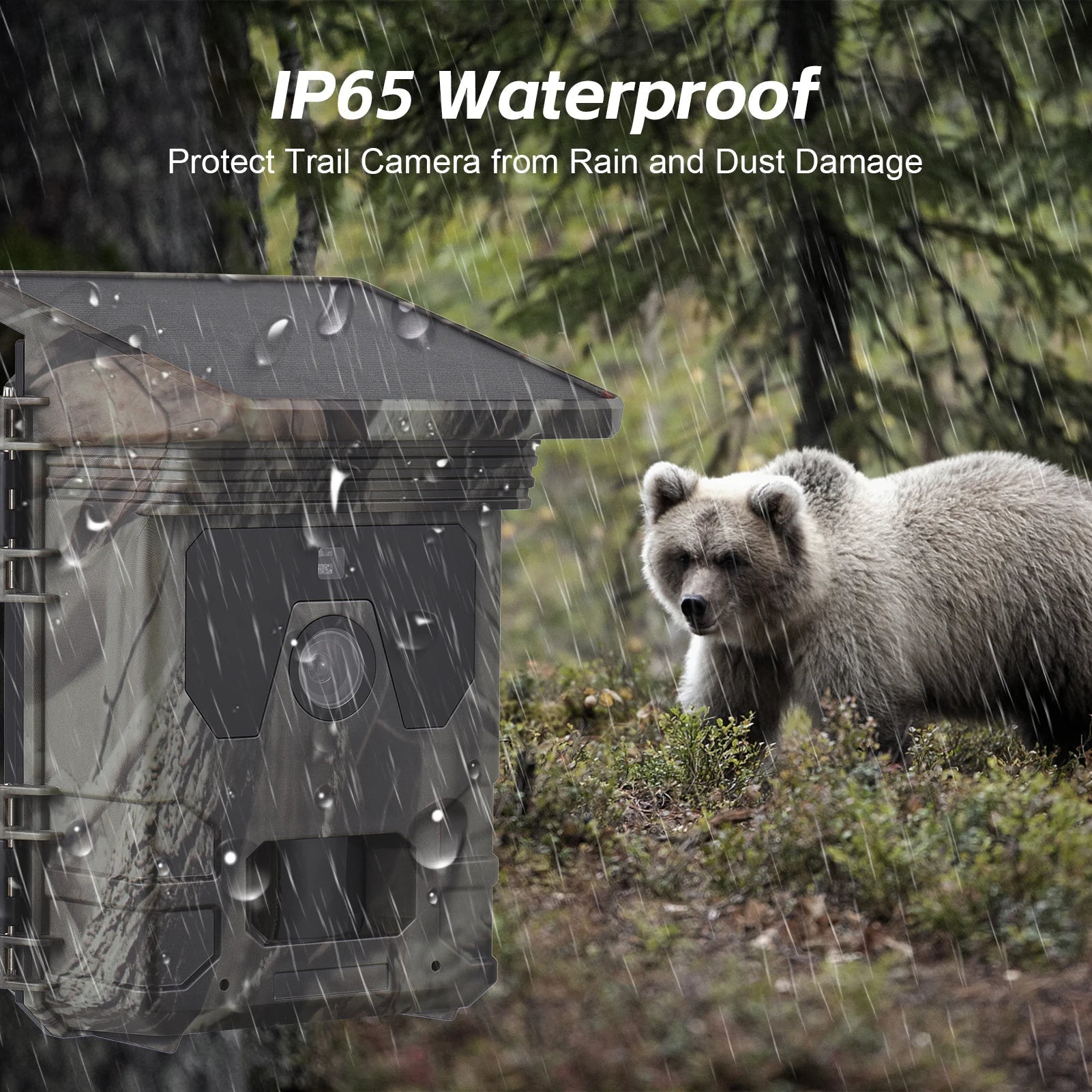 Solar Powered Night Vision Trail Camera - TRENDVYO