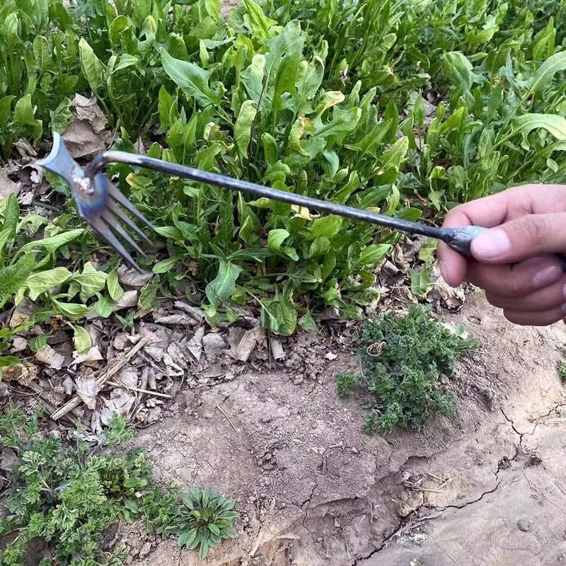 Weed Tool Remover - TRENDVYO